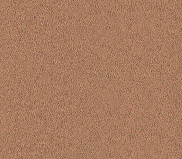 Leather Texture - Everesteel